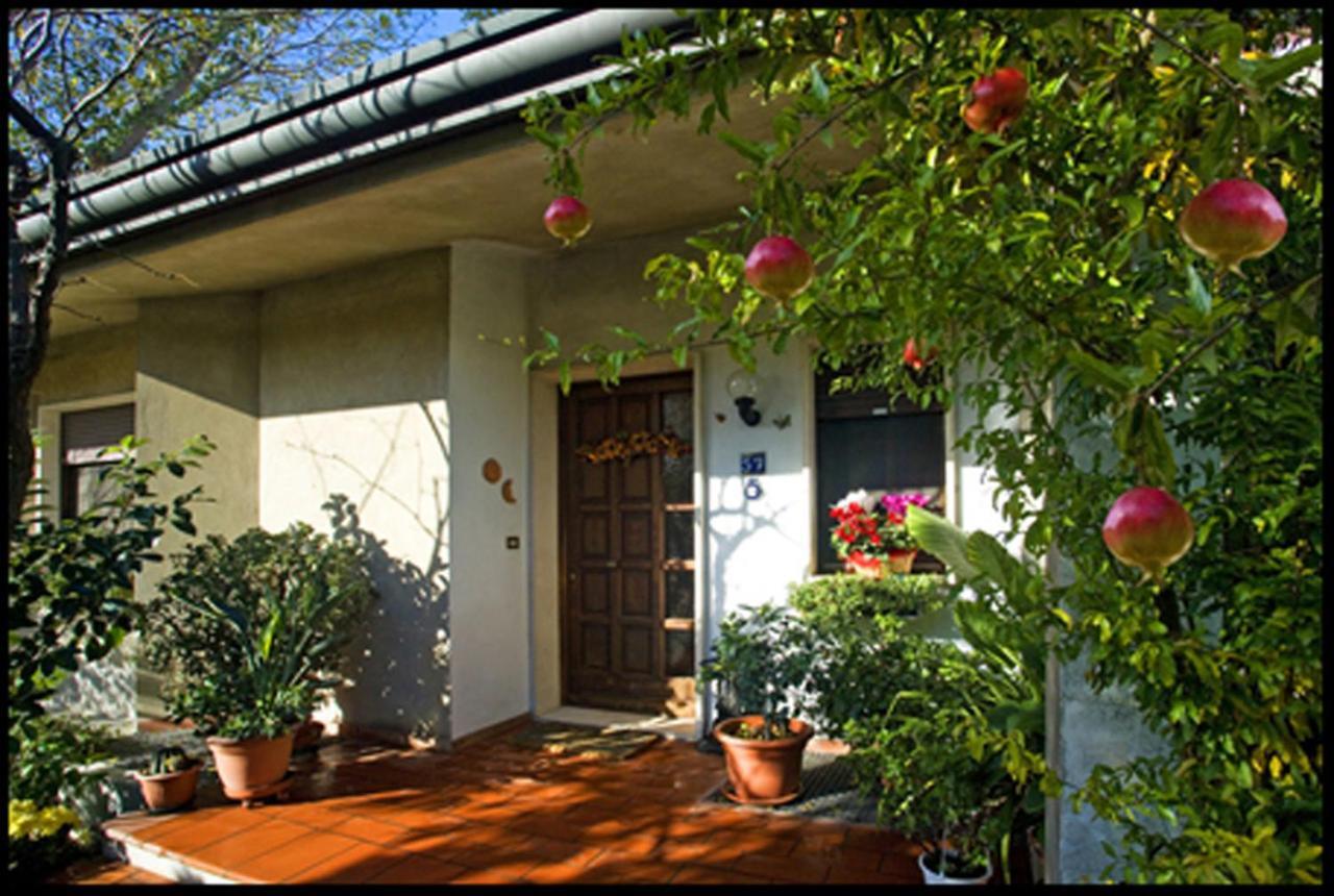 Bed and breakfast Oasi Di Venecia